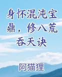 身怀混沌宝鼎，修八荒吞天诀
