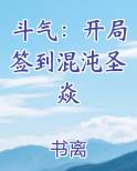 斗气：开局签到混沌圣焱