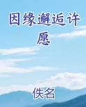 因缘邂逅许愿