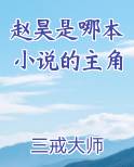 赵昊是哪本小说的主角
