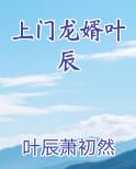 上门龙婿叶辰