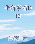 平行宇宙D13
