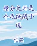 精分元帅是个毛绒绒小说