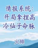 情报系统：开局拿捏高冷仙子命脉