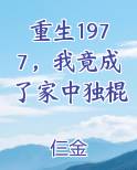 重生1977，我竟成了家中独棍小说短剧