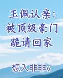 玉佩认亲的官场小说