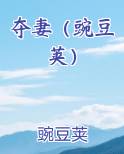 小说夺妻讲的什么