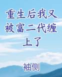 重生后我又被富二代缠上了