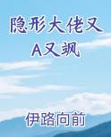 隐形大佬你
