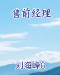 售前经理