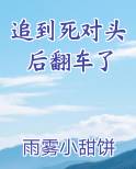 追到死对头后翻车了