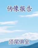 伪像报告