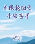 无限轮回之斗破苍穹