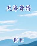 天降贵婿