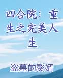 四合院：重生之完美人生