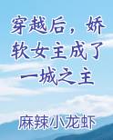 穿越后，娇软女主成了一城之主