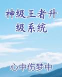 神级王者升级系统