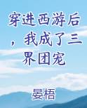 穿进西游后，我成了三界团宠