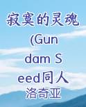 寂寞的灵魂 (Gundam Seed同人 沙漠之虎 x 玛琉)