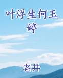 叶浮生何玉婷