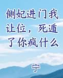 侧妃进门我让位，死遁了你疯什么
