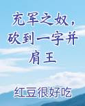 充军之奴，砍到一字并肩王
