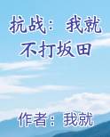抗战不抵抗我做不到2k小说网