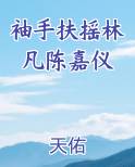 袖手扶摇林凡陈嘉仪免费阅读全文