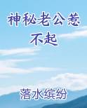 神秘老公惹不起