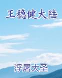 王稳健大陆