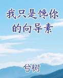 我只是馋你的向导素TXT