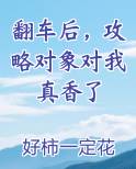 翻车后，攻略对象对我真香了