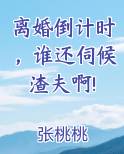离婚倒计时在线阅读