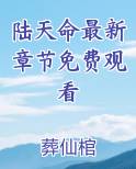 陆天命最新章节免费观看