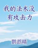 我的法术没有攻击力