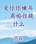 爱你你嫌弃，离婚你跪什么免费下载