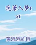 晚萧入梦txt