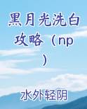 黑月光洗白攻略（np）