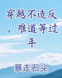 穿越不造反，难道等过年