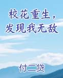 校花重生,发现我无敌陈稻