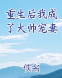 重生后我成了大帅宠妻小说全文免费阅读