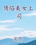 情陷美女上司