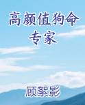 高颜值狗命专家