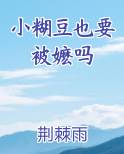 小糊豆也要被嬷吗小说推荐
