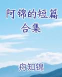 女主叫阿锦的小说