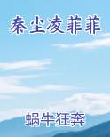 秦尘凌菲菲