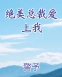 绝美总裁爱上我