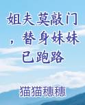 姐夫莫敲门，替身妹妹已跑路
