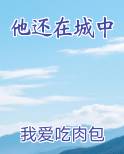 他还在城中推荐小说