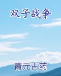 双子战争